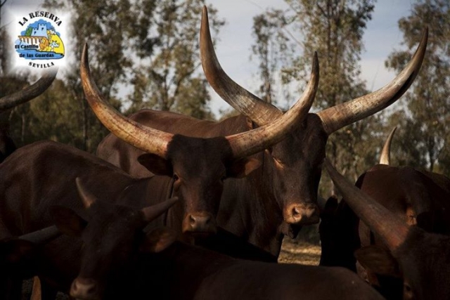 Naturaleza en estado puro